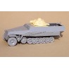 Sd.Kfz. 251 with R-35 Turret & engine (conv. for Hasegawa) - Modell Trans MT 72032
