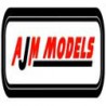 AJM Models